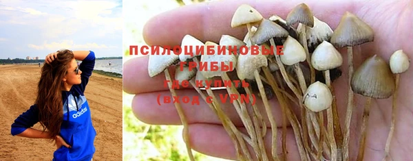трава Лагань