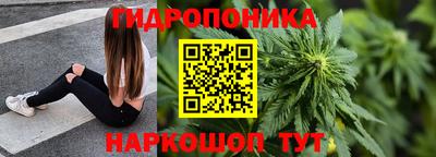 трава Лесосибирск