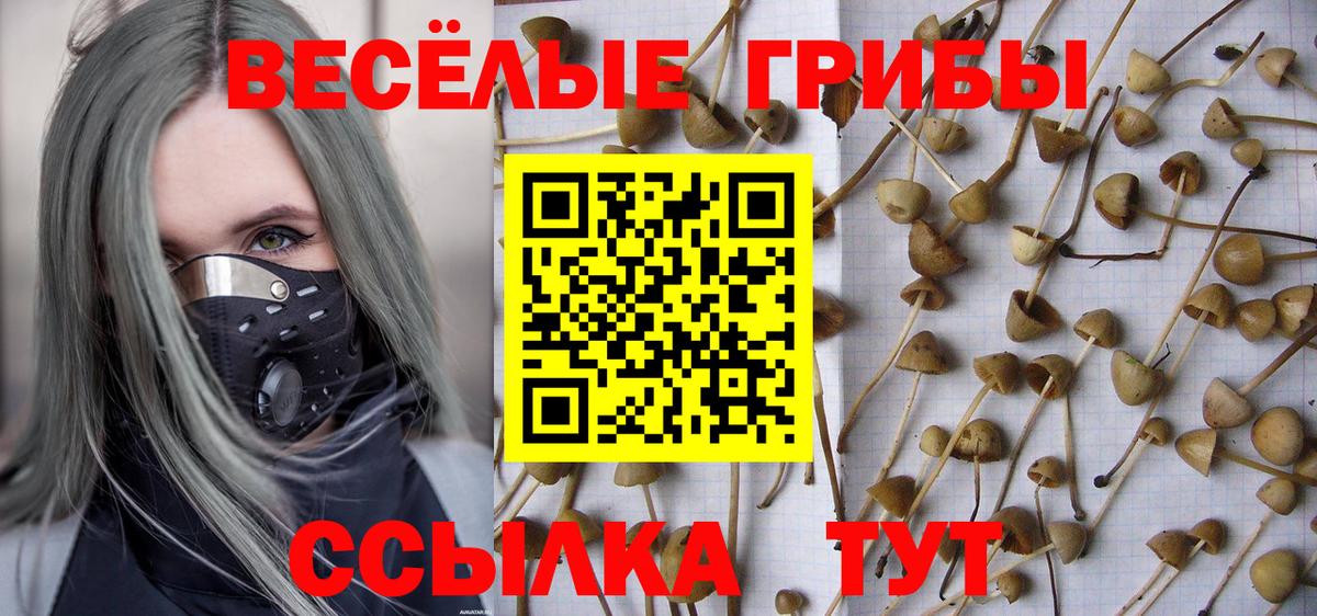 Галлюциногенные грибы Psilocybine cubensis Чапаевск