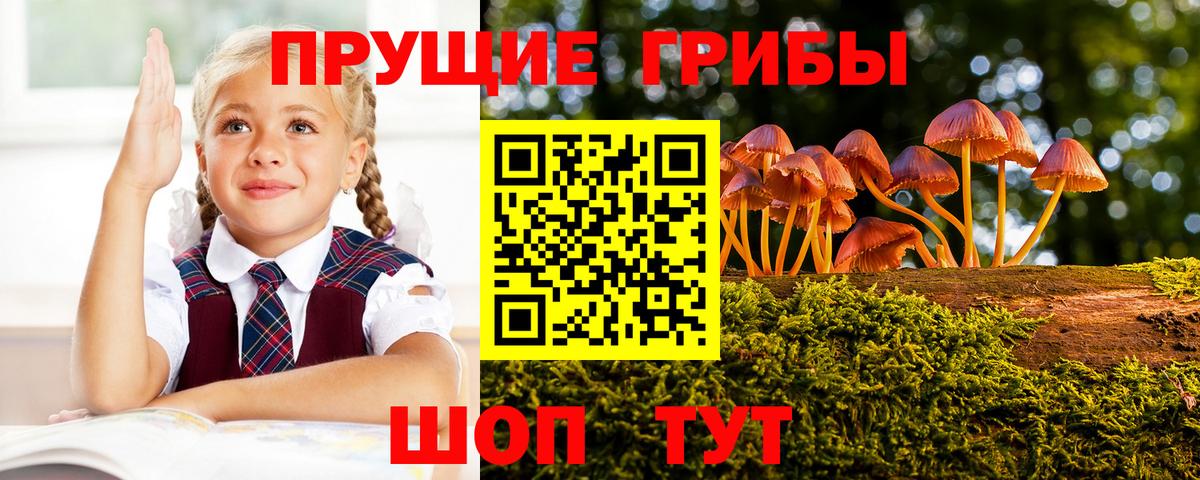 Галлюциногенные грибы Psilocybine cubensis  Псилоцибиновые грибы GOLDEN TEACHER  Чапаевск  Вход с VPN 